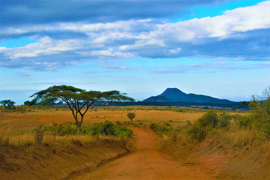 Get on the road less travelled in Malawi