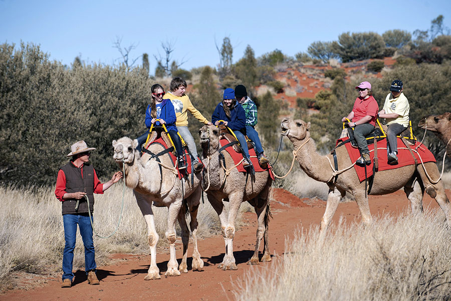 Visit a camel farm and discover one of the earliest forms of transport