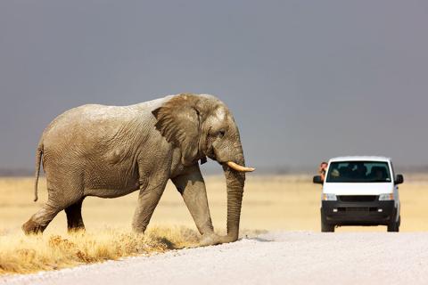 Namibia is a great place to do a self-drive trip