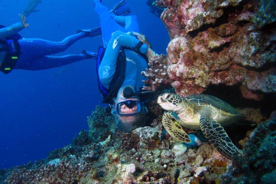 The shallow coral garden offers world class diving