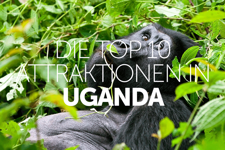 Die Top 10 Attraktionen in Uganda