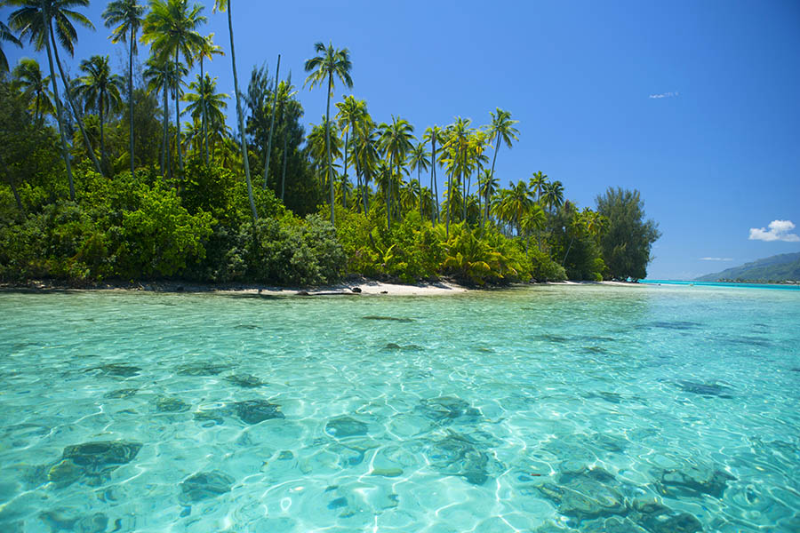 Relax on the beautiful beaches of Moorea | Photo credit: Tahiti Tourisme