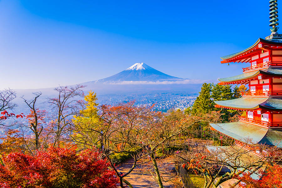 Get unforgettable views of Mount Fuji | Travel Nation