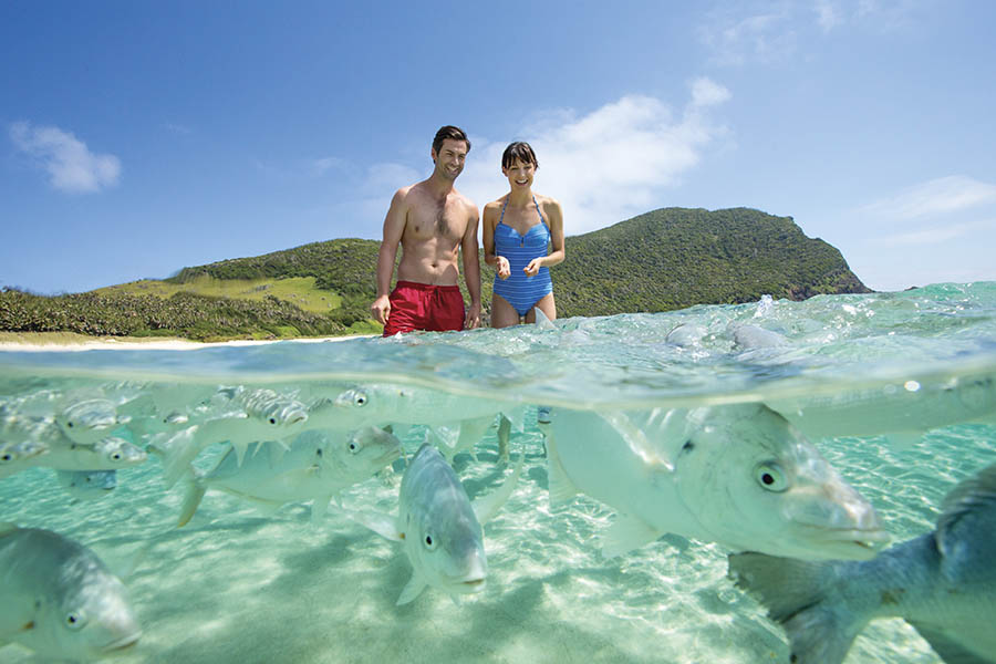 Lord Howe Island is surrounded by the world’s southernmost coral reef 