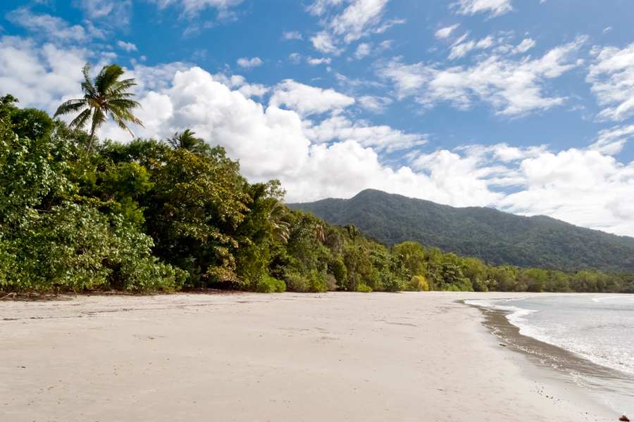 Daintree Rainforest, Queensland, Australia