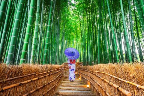 Explore the Arashiyama Bamboo Forest in Kyoto | Travel Nation