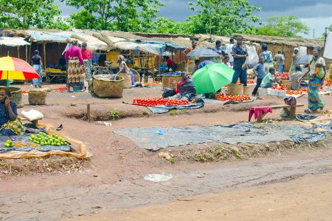 Wander through the colourful markets of Lilongwe