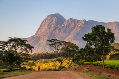 Admire the magnificence of Mount Mulanje on a trek 