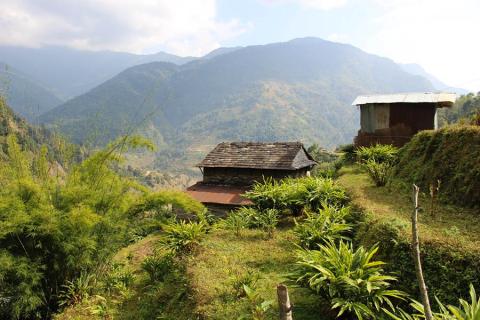 Wanderung durch die sattgrünen Täler im Himalaya | Travel Nation