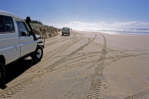 Rent a 4WD and discover Fraser Island
