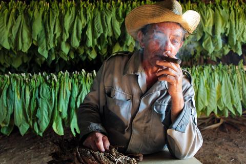 Making cigars, Vinales, Cuba