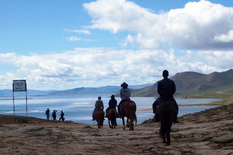 Pferde reiten in der Mongolei