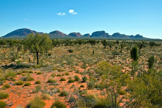 Discover the outback wilderness