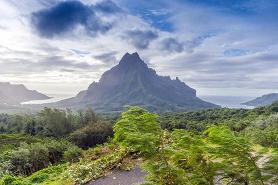 Explore the mountainous interior of Tahiti