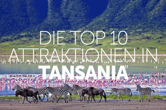top 10 attraktionen in tansania