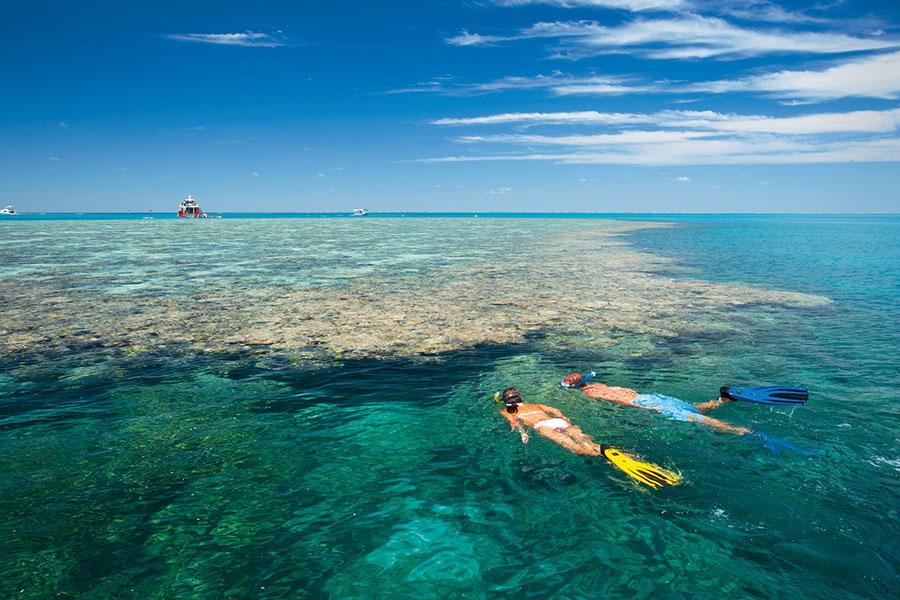 Snorkel in the crystal clear waters of the Great Barrier Reef
