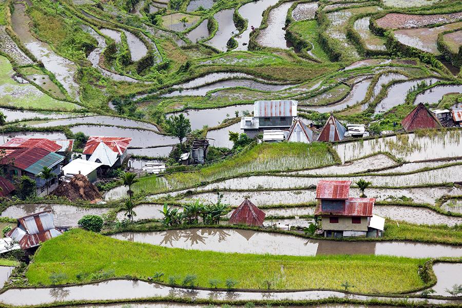 Batad village ricefields, Philippines