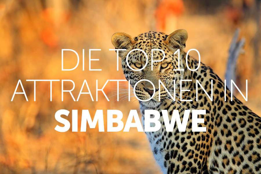 Die Top 10 Attraktionen in Simbabwe | Travel Nation